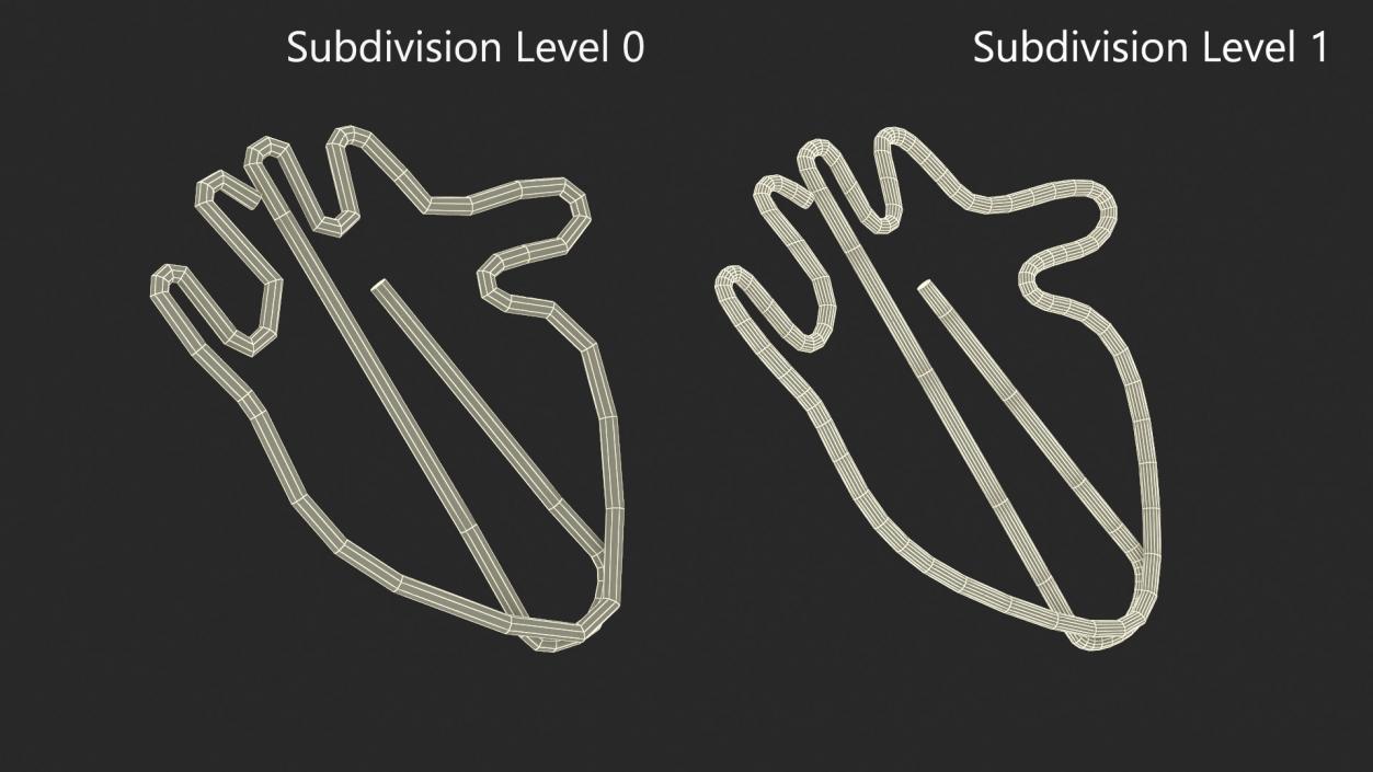 3D model Anatomic Heart Shape