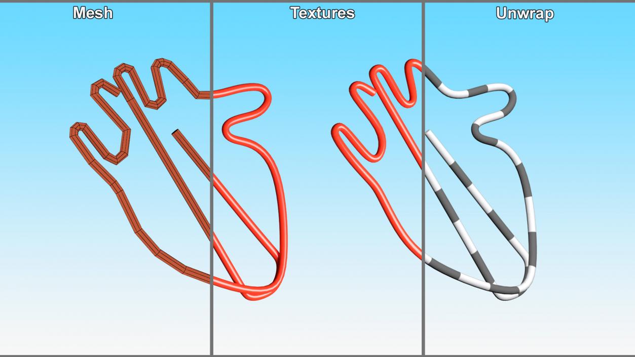 3D model Anatomic Heart Shape