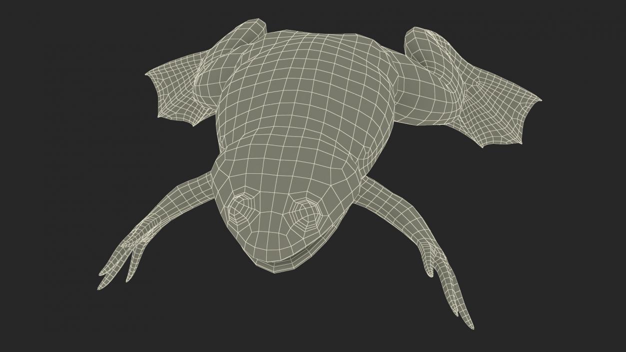 3D African Claw-toe Frog Rigged model