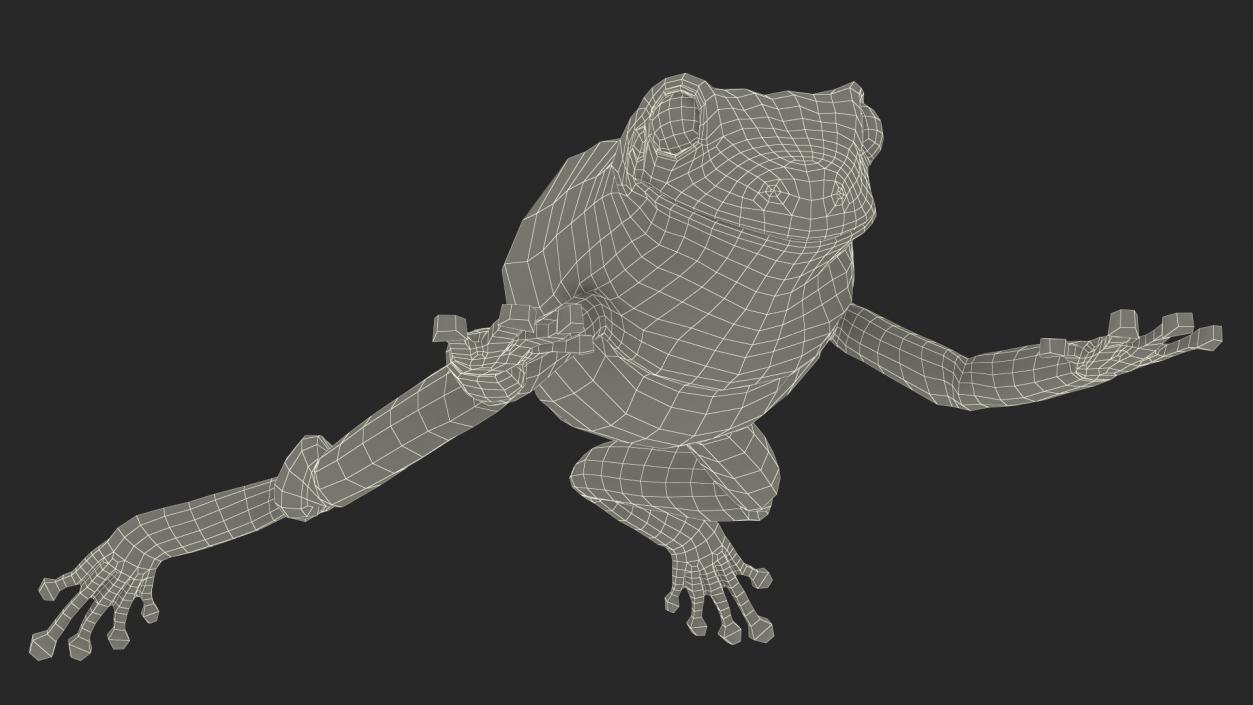 Ranoidea Caerulea Frog 3D