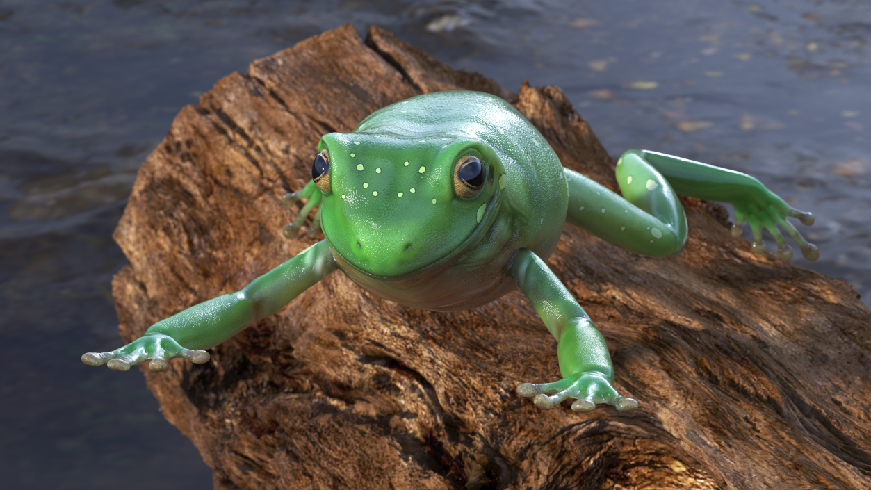 Ranoidea Caerulea Frog 3D