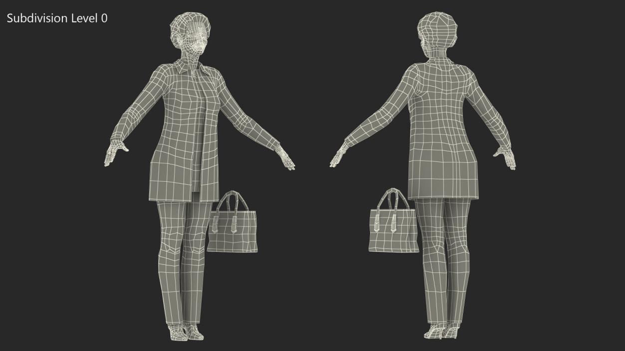 3D Chinese Elderly Woman Everyday Style A-Pose model