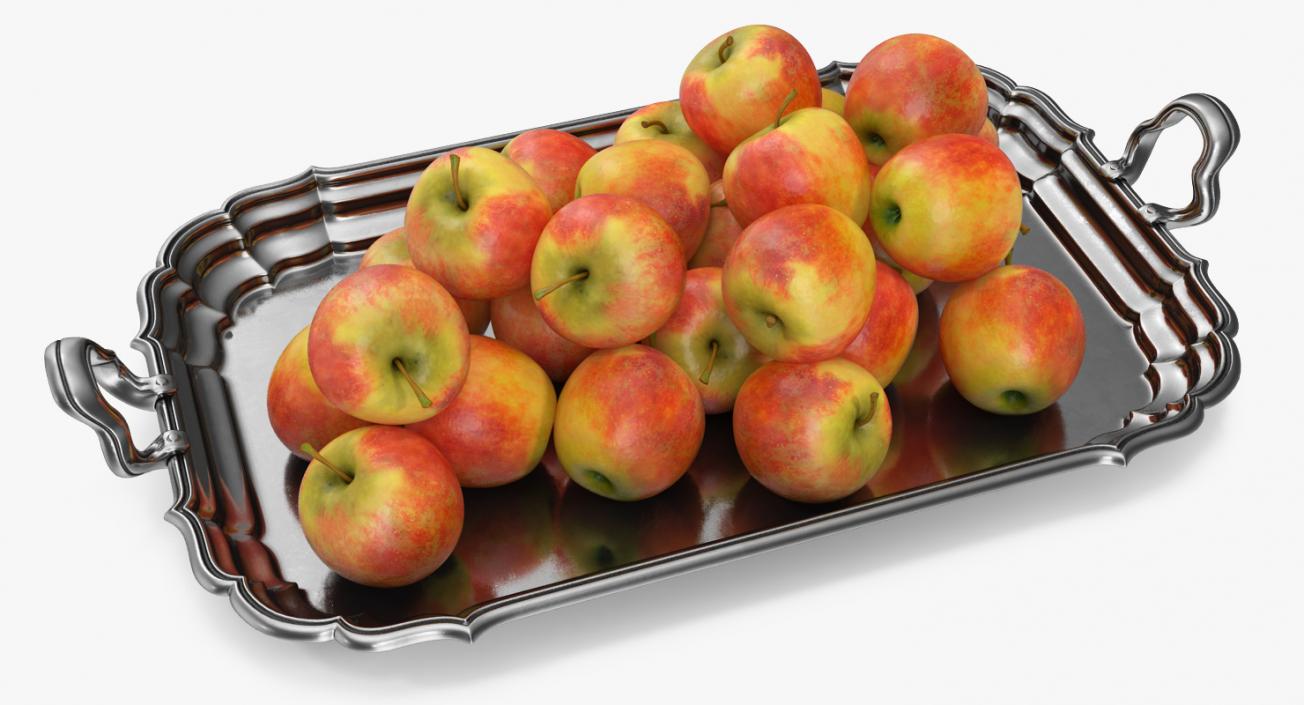 3D Silver Tray with Apples model