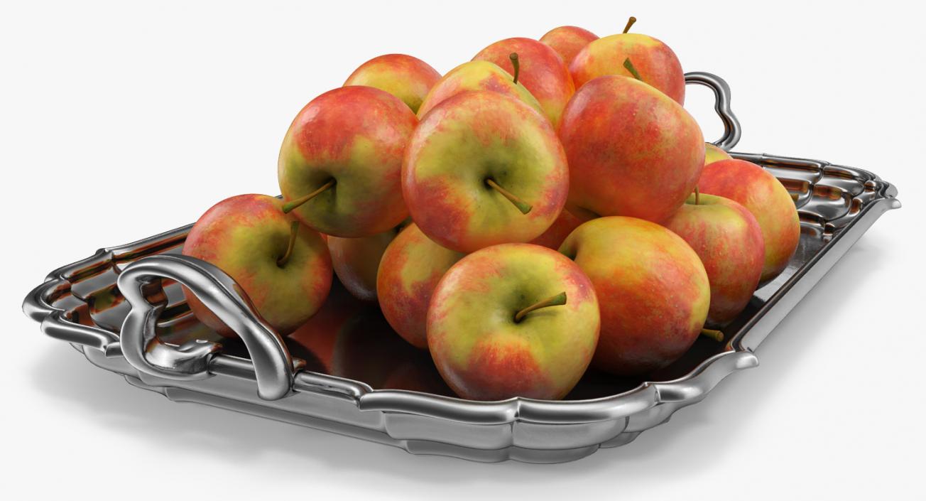 3D Silver Tray with Apples model