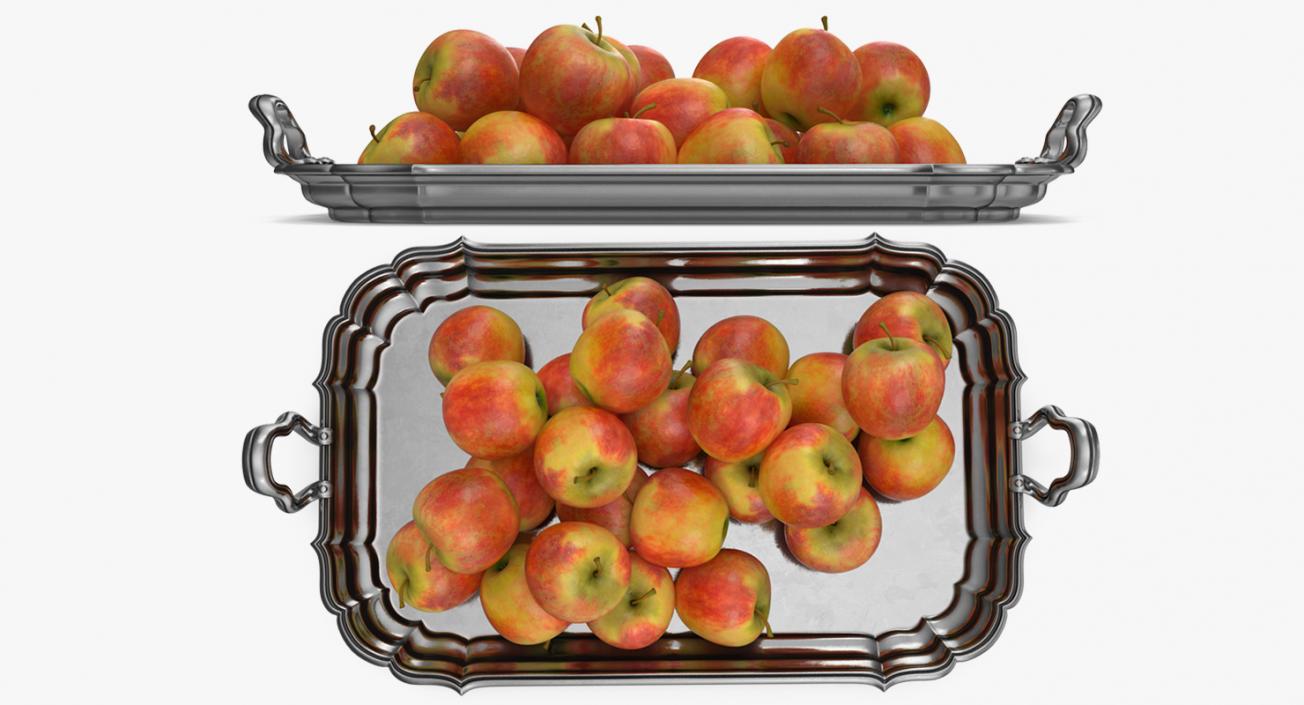 3D Silver Tray with Apples model