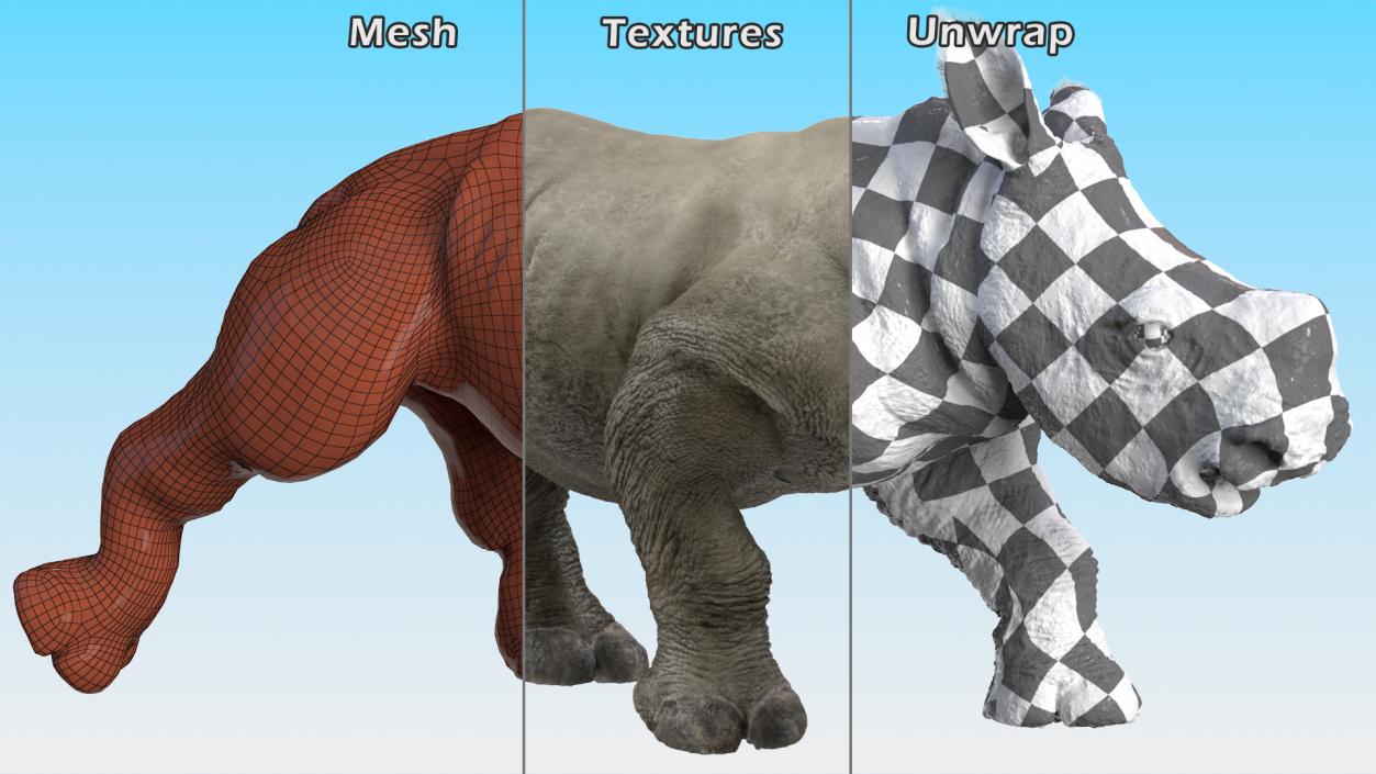 Rhino Baby Walking Pose Fur 3D