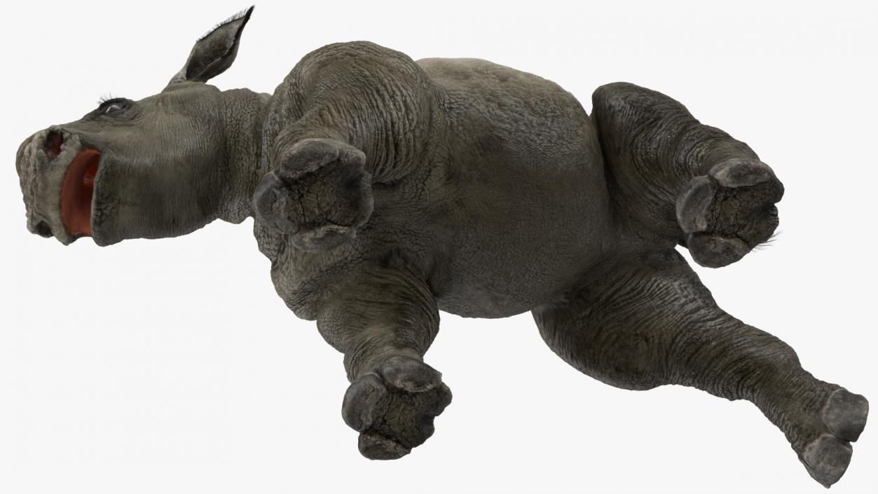 Rhino Baby Walking Pose Fur 3D