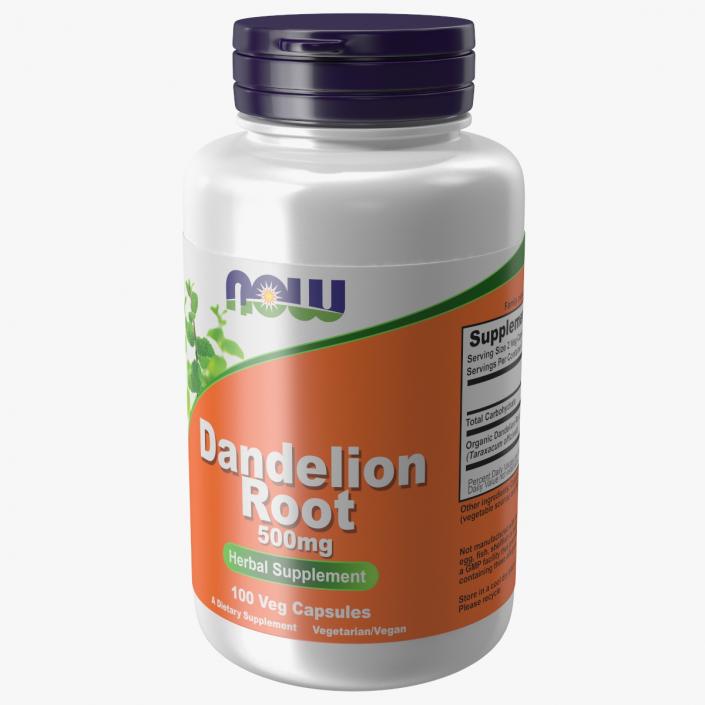 3D model NOW Dandelion Root 500 mg