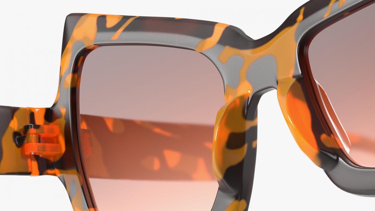 Tortoise Asymmetrical Sunglasses 3D