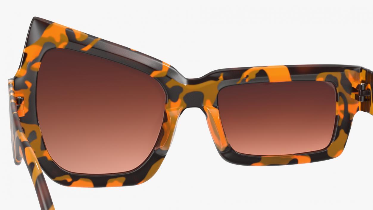 Tortoise Asymmetrical Sunglasses 3D