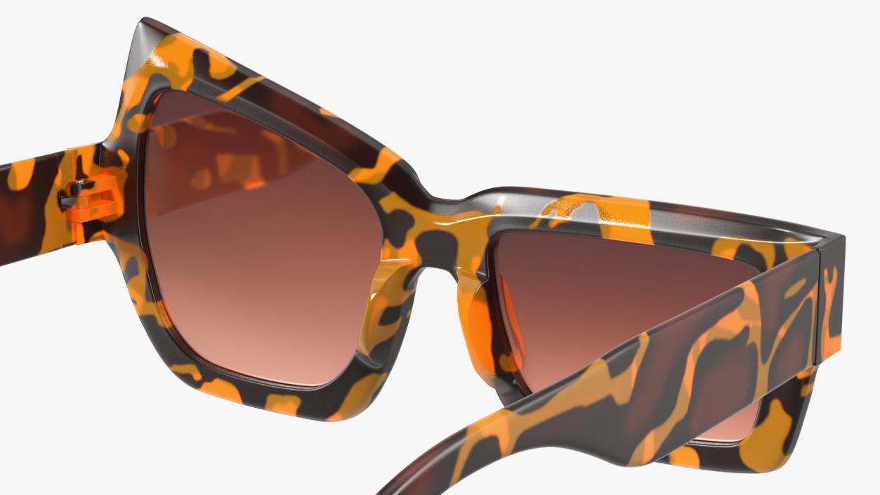 Tortoise Asymmetrical Sunglasses 3D