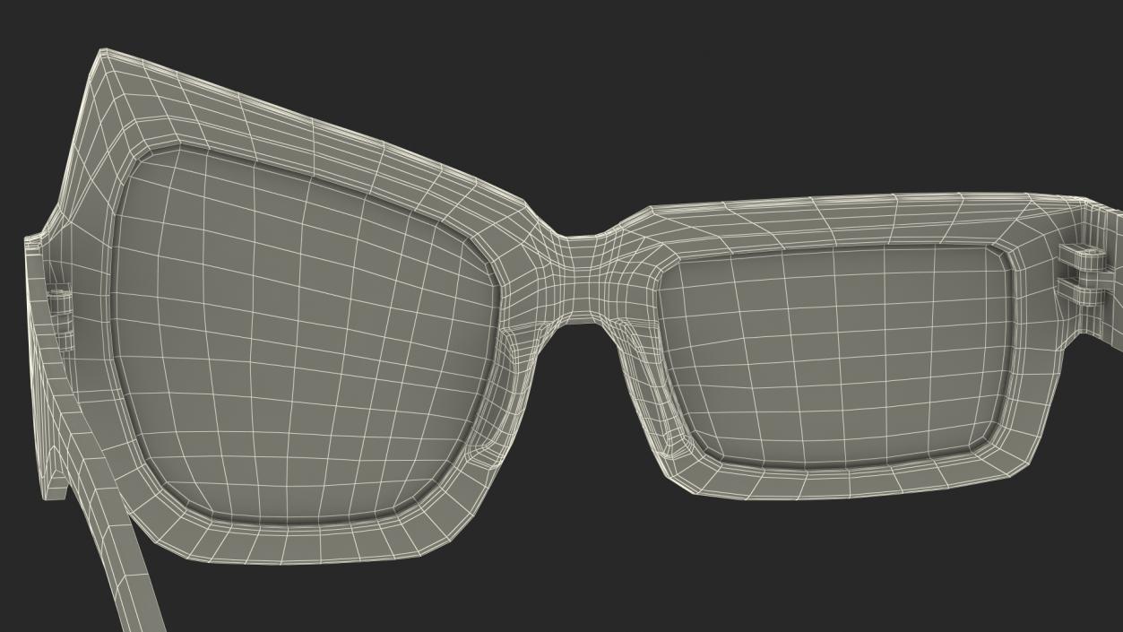 Tortoise Asymmetrical Sunglasses 3D