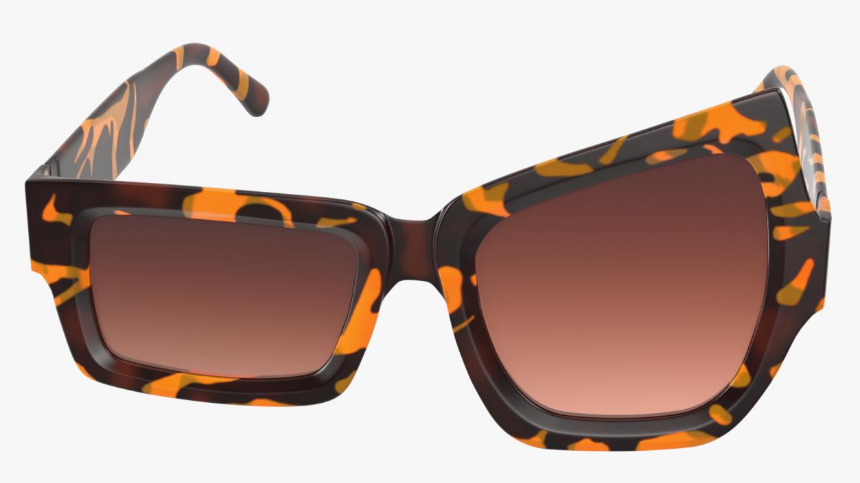 Tortoise Asymmetrical Sunglasses 3D