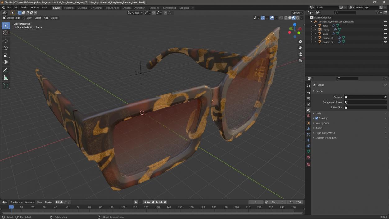 Tortoise Asymmetrical Sunglasses 3D