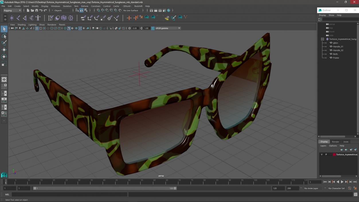 Tortoise Asymmetrical Sunglasses 3D