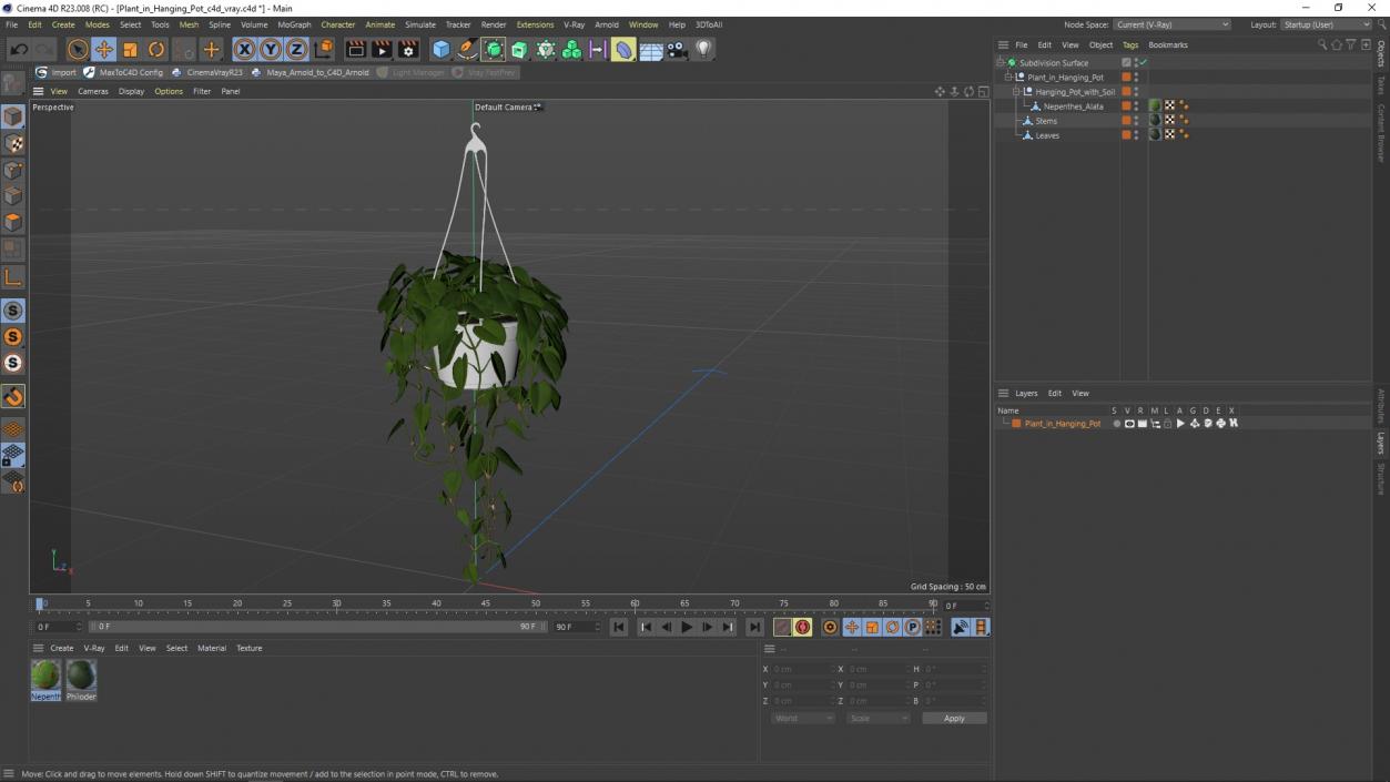 3D model Plant in Hanging Pot