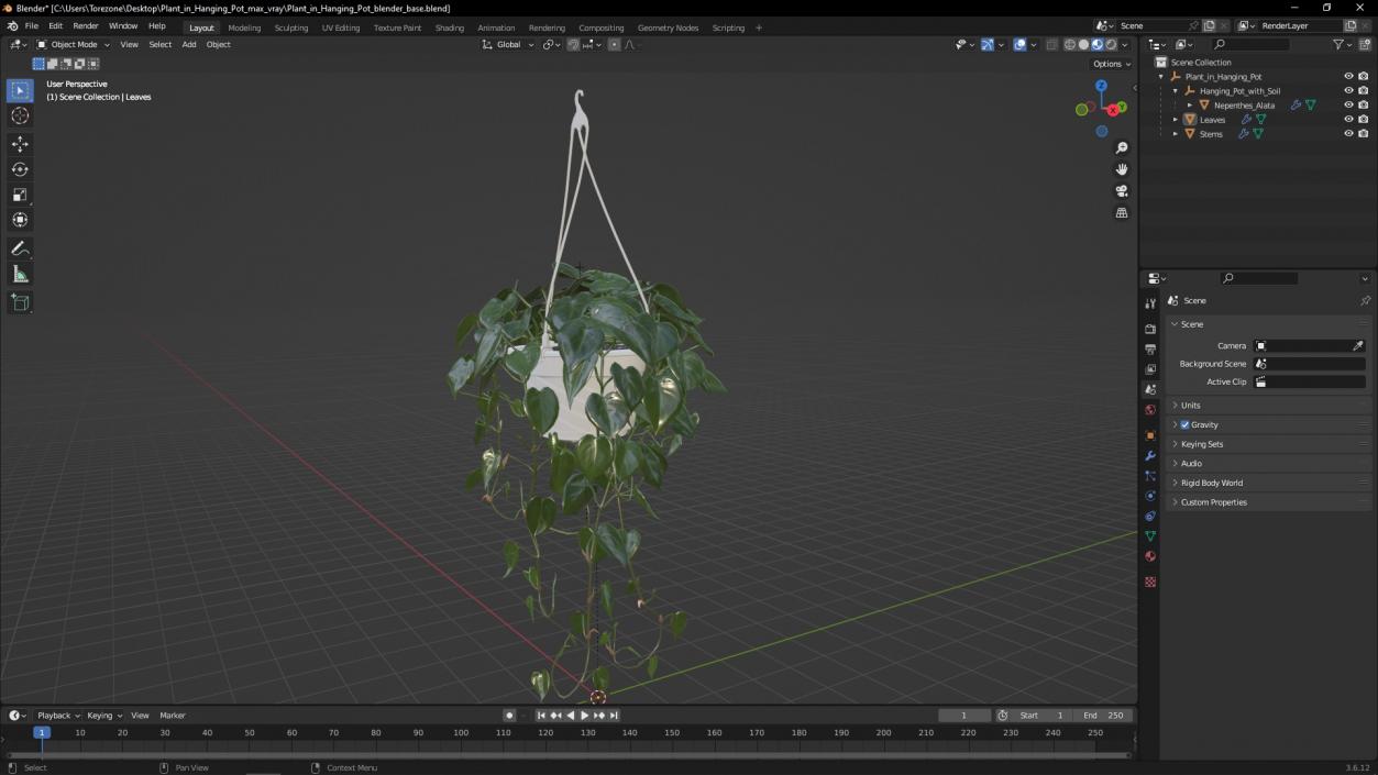 3D model Plant in Hanging Pot