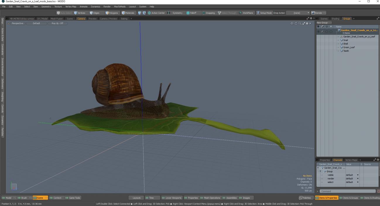 Garden Snail Crawls on a Leaf 3D model