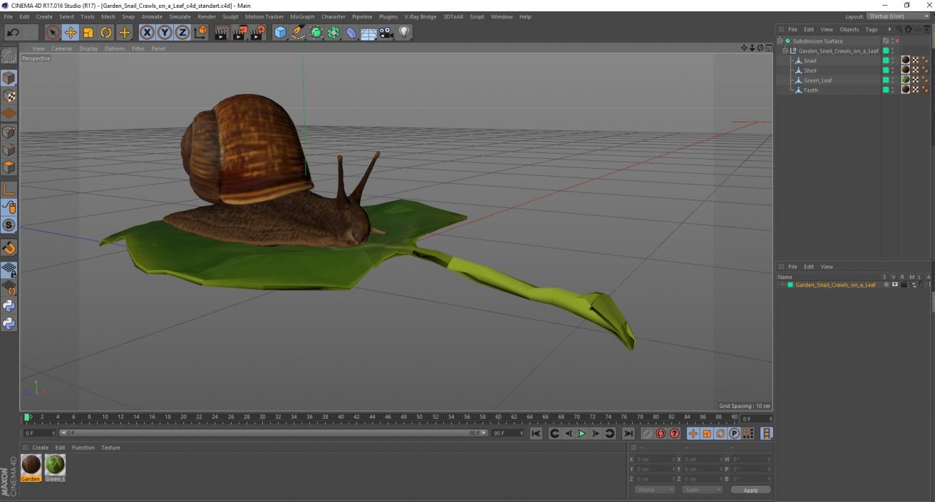 Garden Snail Crawls on a Leaf 3D model