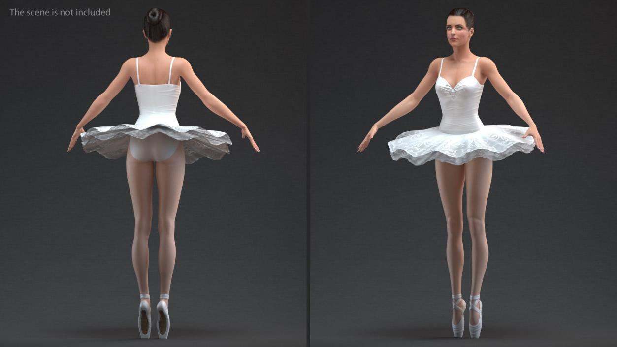 Ballet Tutu Dress 3D