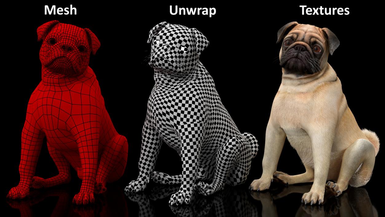 Pug Dog Sitting Pose Fur 3D model