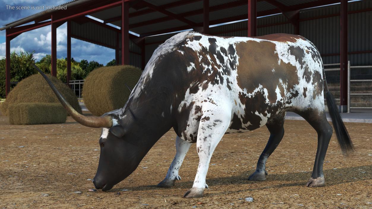 3D model Texas Longhorn Cattle Mottled Brown