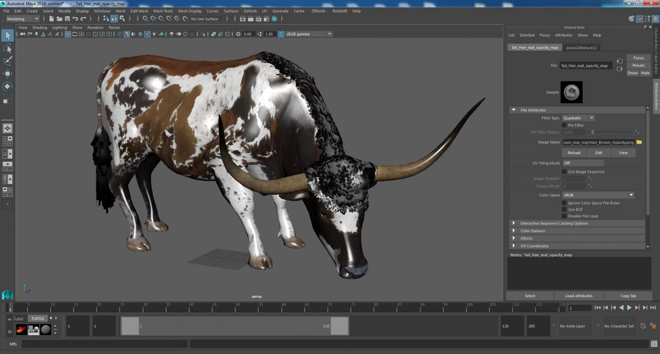 3D model Texas Longhorn Cattle Mottled Brown