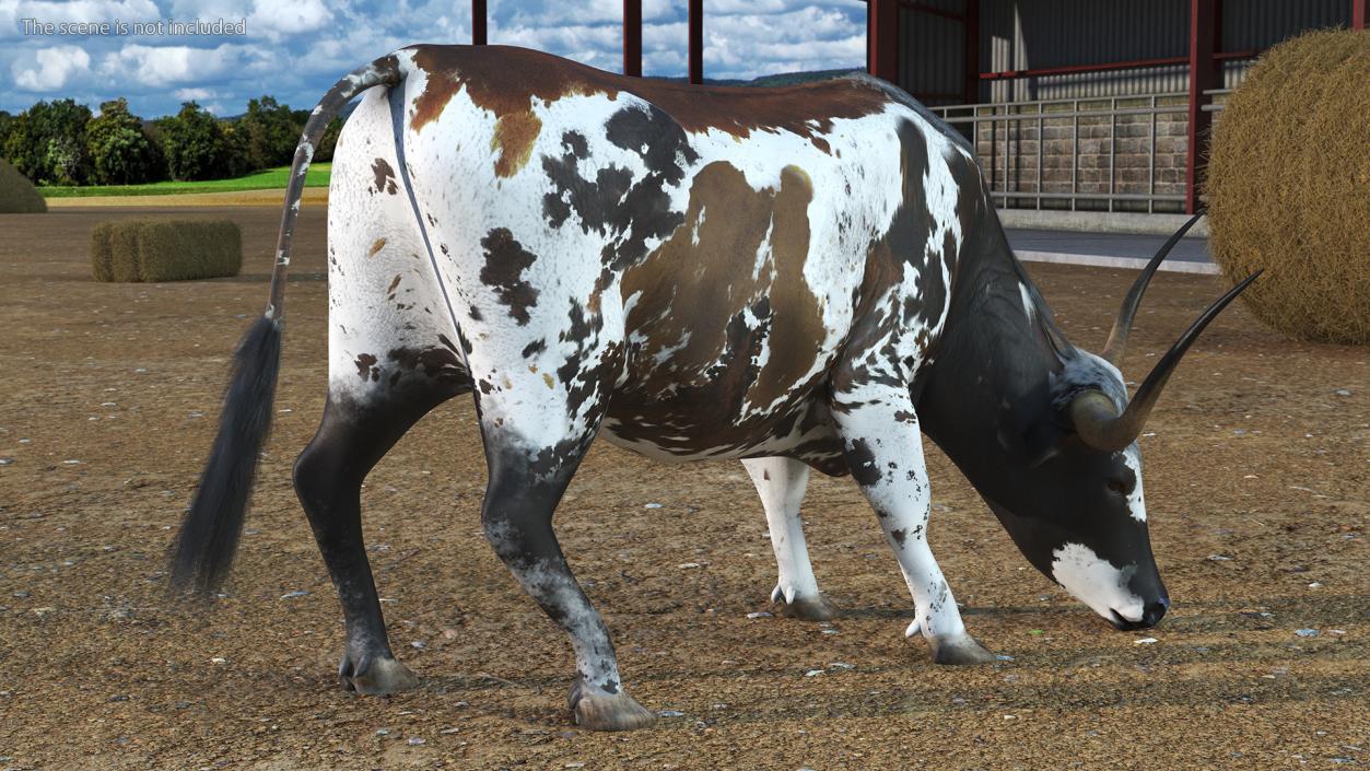 3D model Texas Longhorn Cattle Mottled Brown