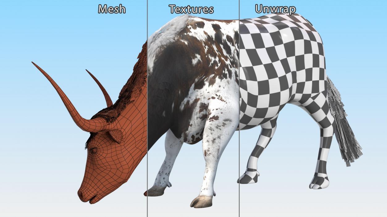 3D model Texas Longhorn Cattle Mottled Brown