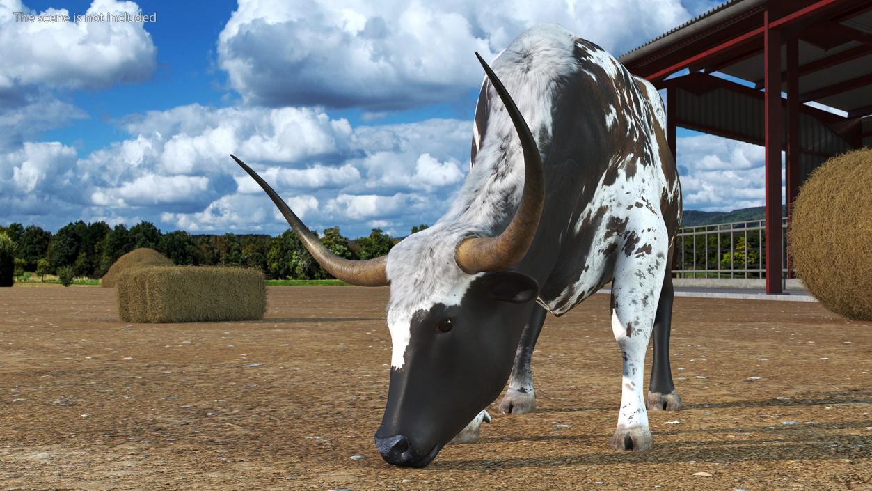 3D model Texas Longhorn Cattle Mottled Brown