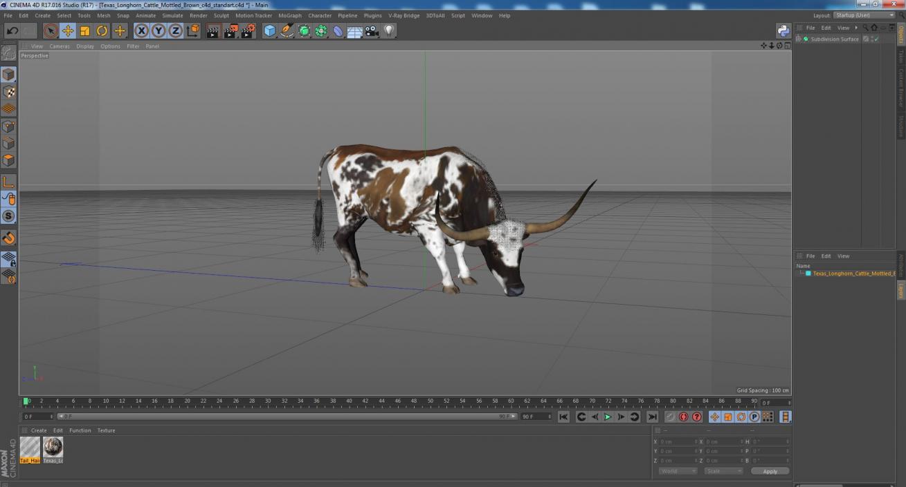 3D model Texas Longhorn Cattle Mottled Brown