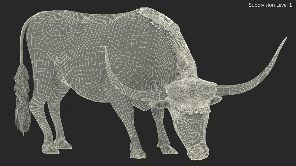 3D model Texas Longhorn Cattle Mottled Brown