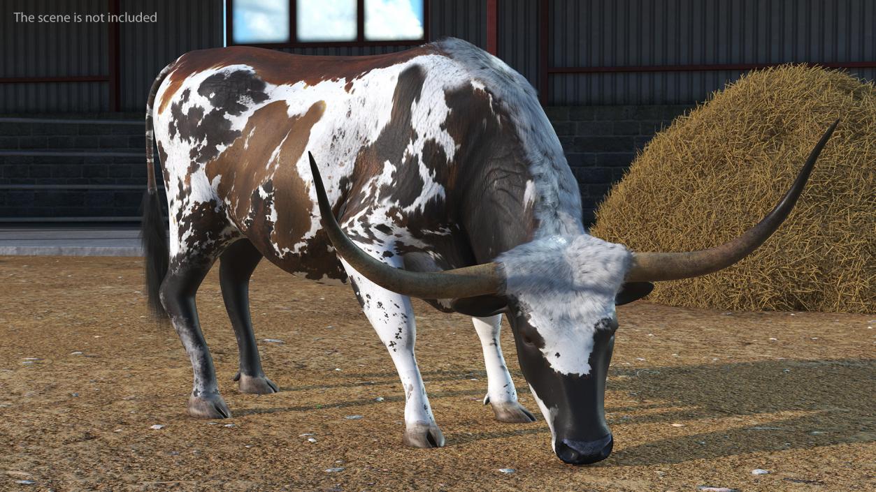 3D model Texas Longhorn Cattle Mottled Brown