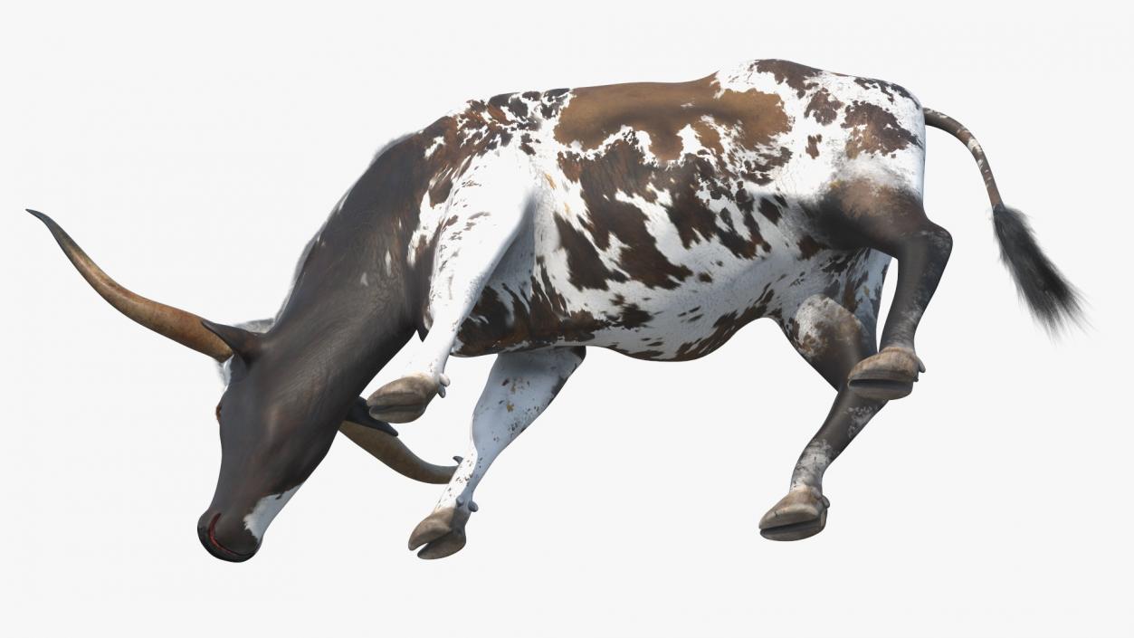 3D model Texas Longhorn Cattle Mottled Brown