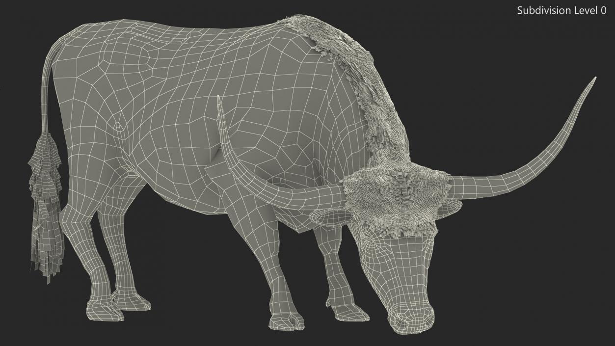 3D model Texas Longhorn Cattle Mottled Brown