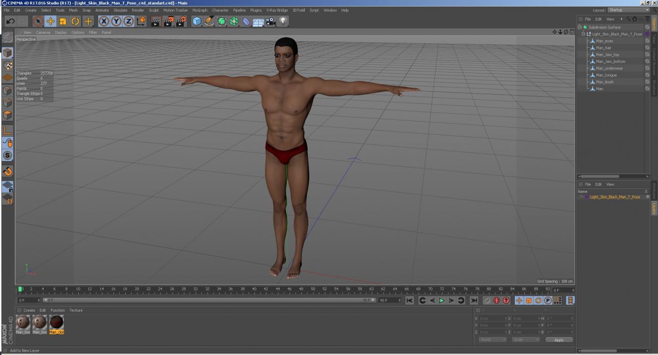 Light Skin Black Man T Pose 3D