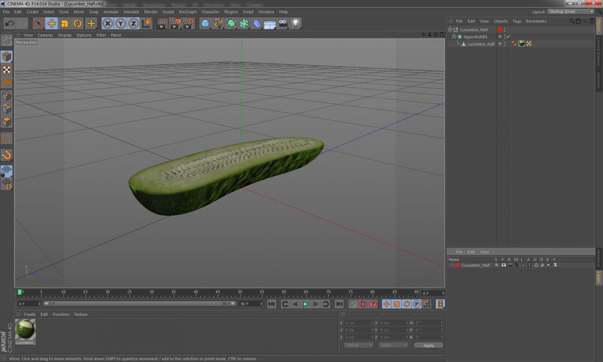 3D Cucumber Half model