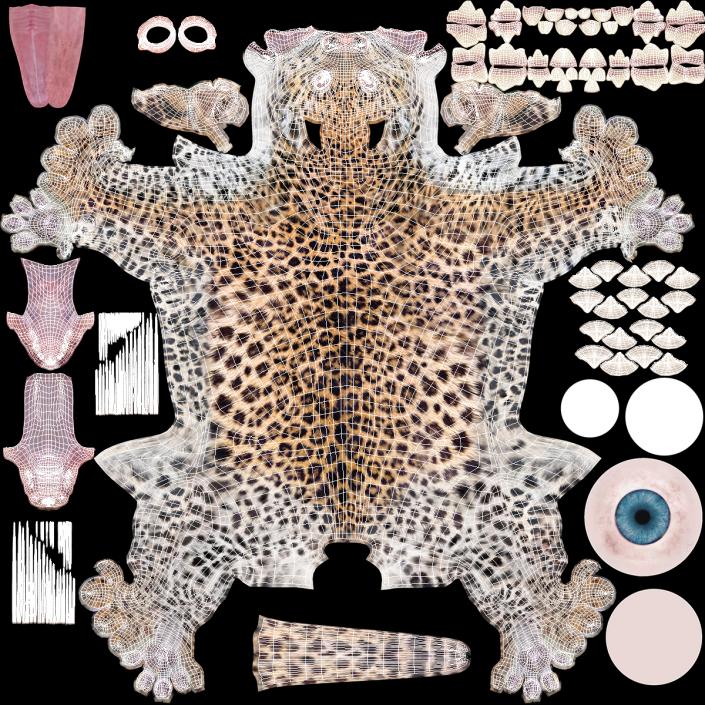 3D Leopard Cub Sitting Pose with Fur model