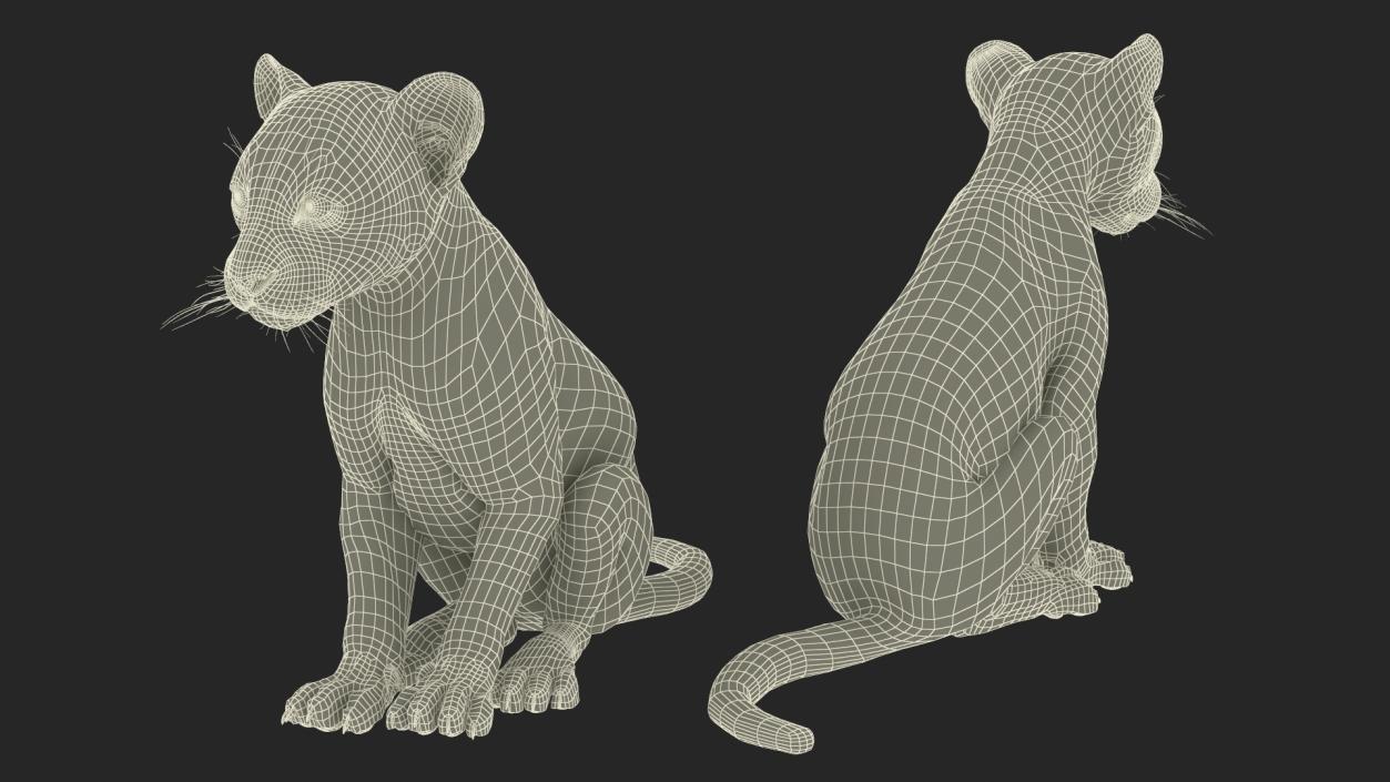 3D Leopard Cub Sitting Pose with Fur model