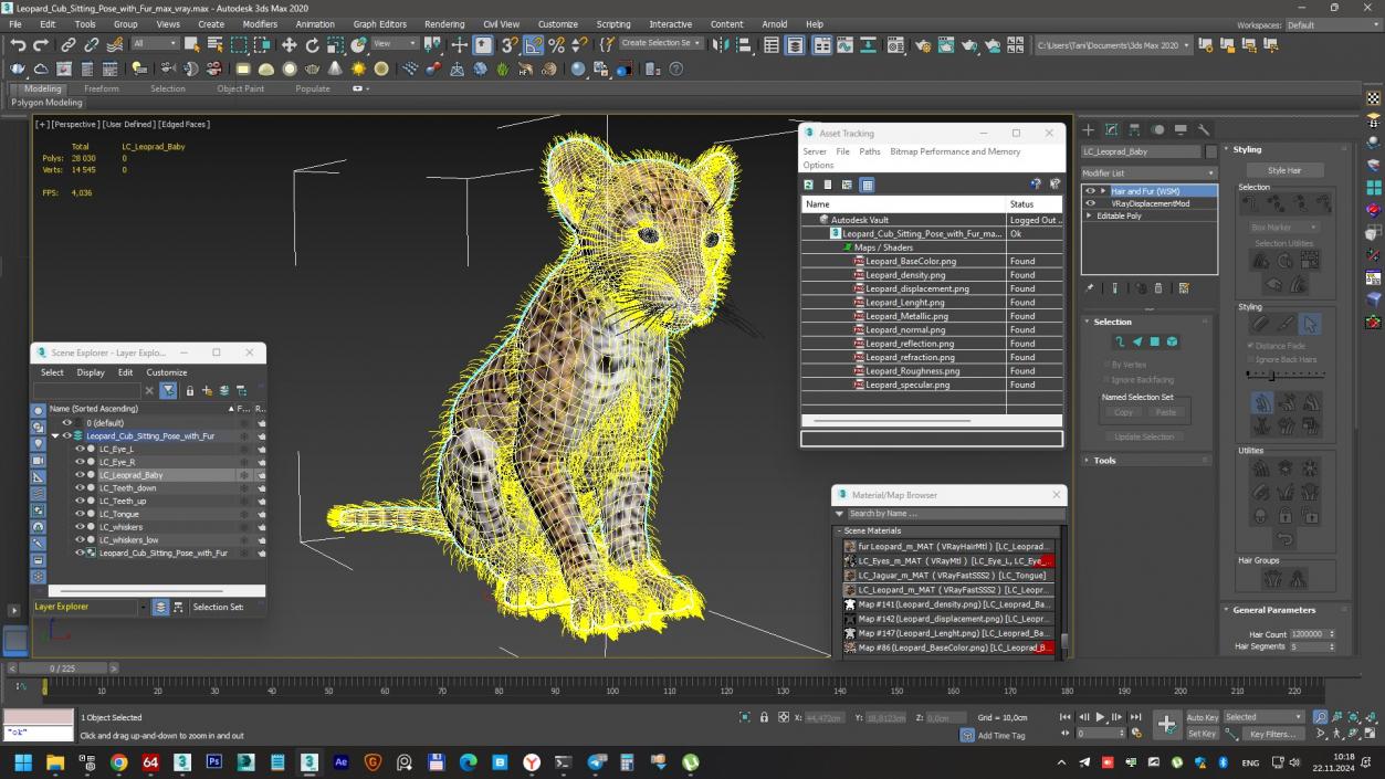 3D Leopard Cub Sitting Pose with Fur model