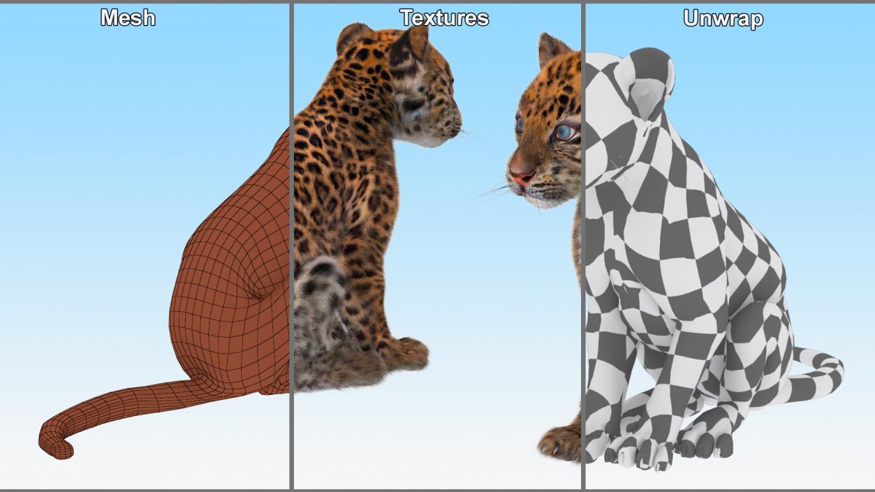 3D Leopard Cub Sitting Pose with Fur model