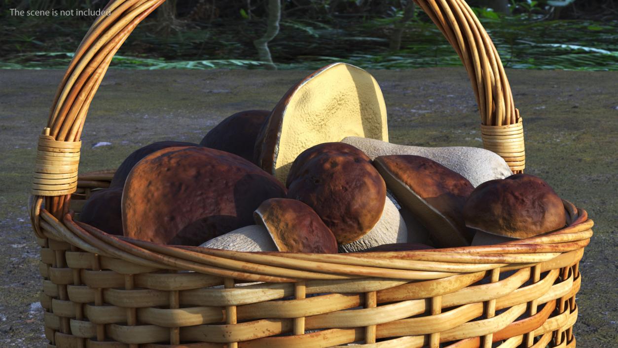 3D Baskets of Mushrooms Collection