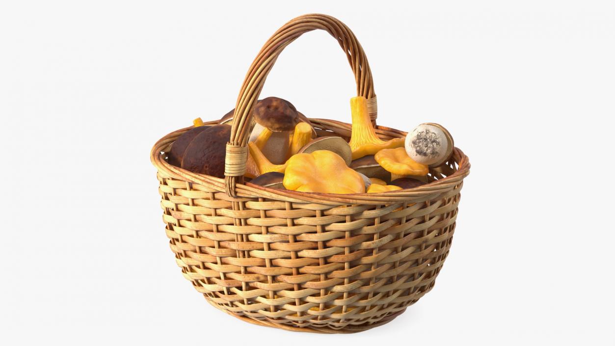 3D Baskets of Mushrooms Collection