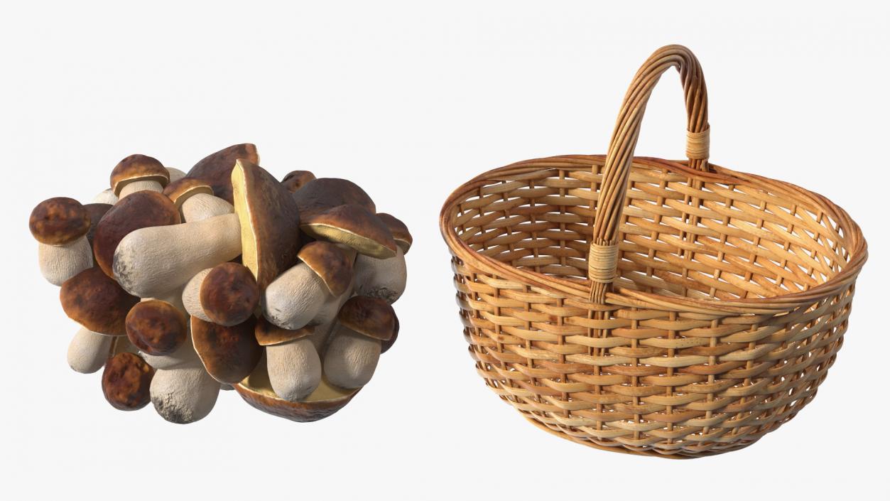 3D Baskets of Mushrooms Collection