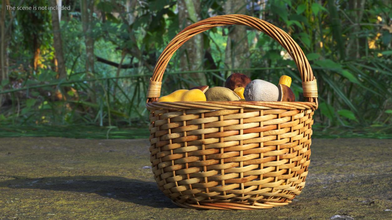 3D Baskets of Mushrooms Collection