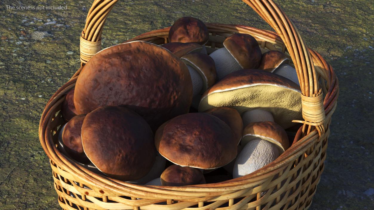 3D Baskets of Mushrooms Collection