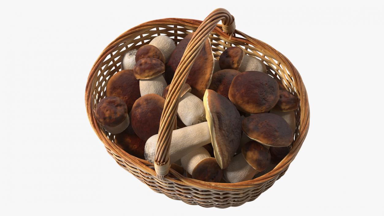 3D Baskets of Mushrooms Collection