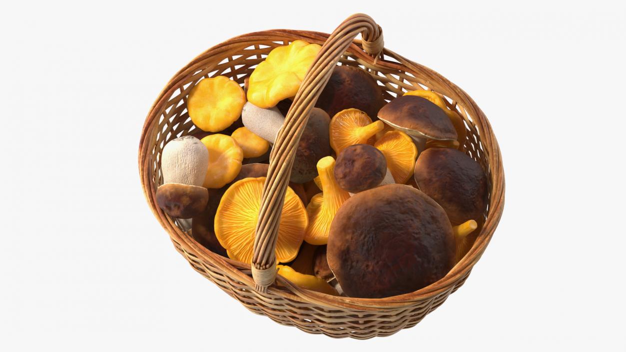 3D Baskets of Mushrooms Collection