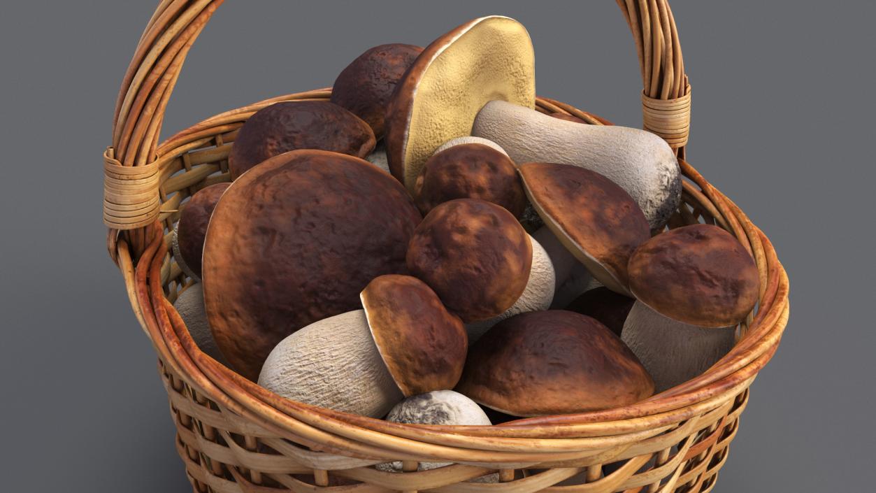 3D Baskets of Mushrooms Collection