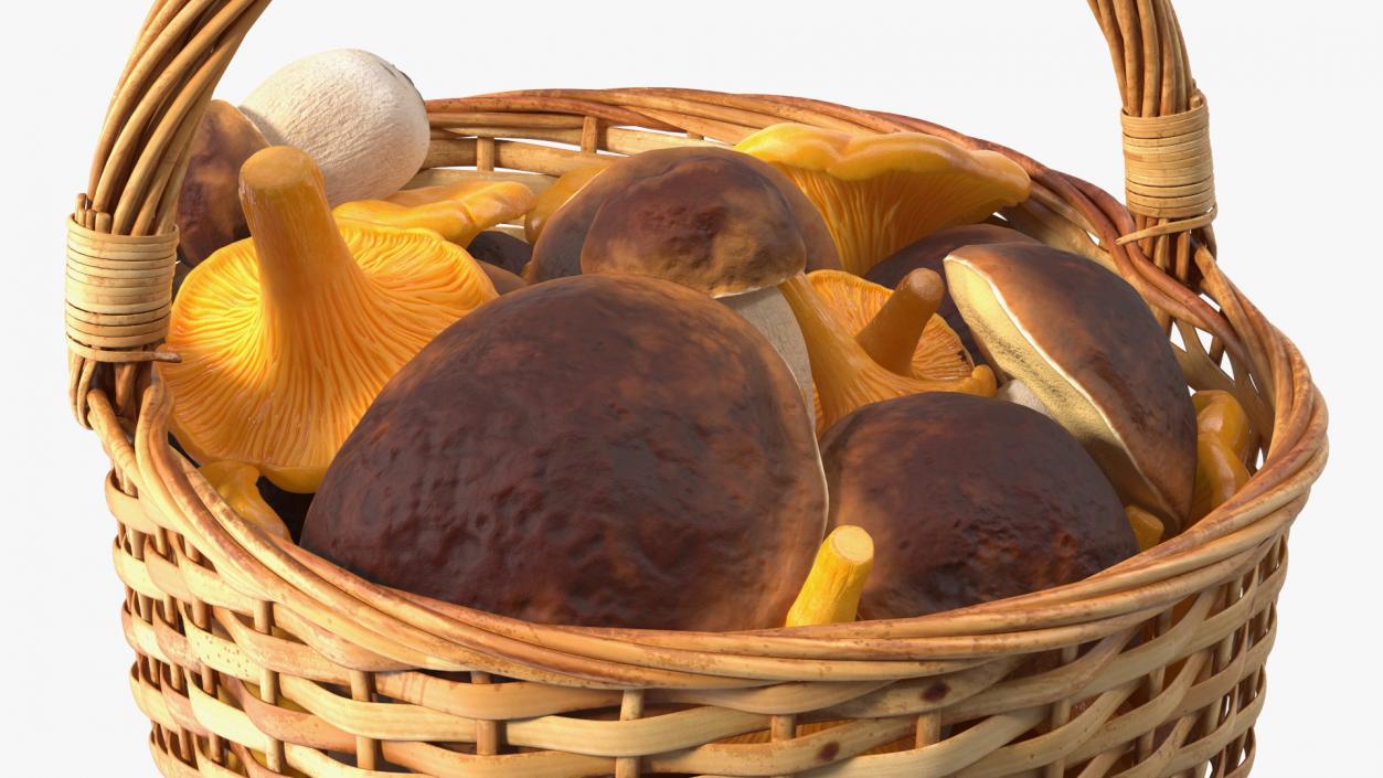 3D Baskets of Mushrooms Collection